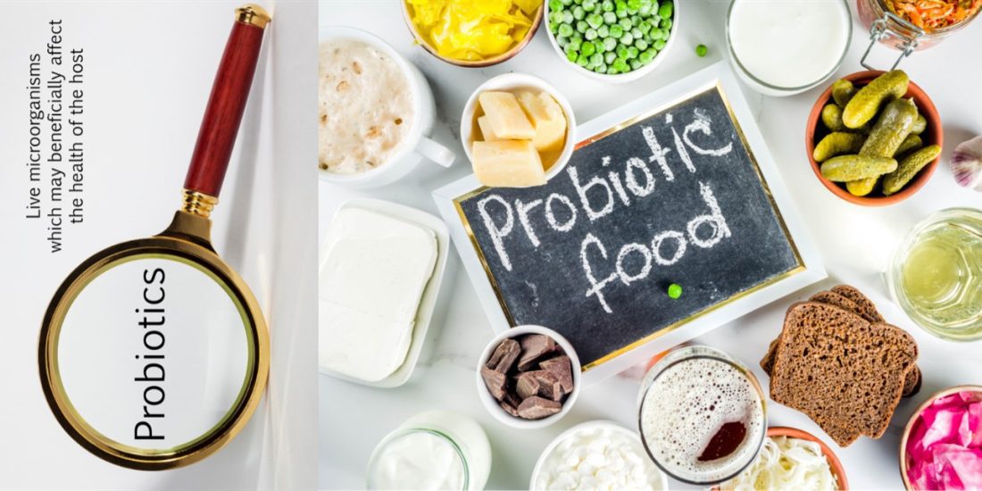 Unravelling the Wonders of Probiotics: A Journey to Better Health