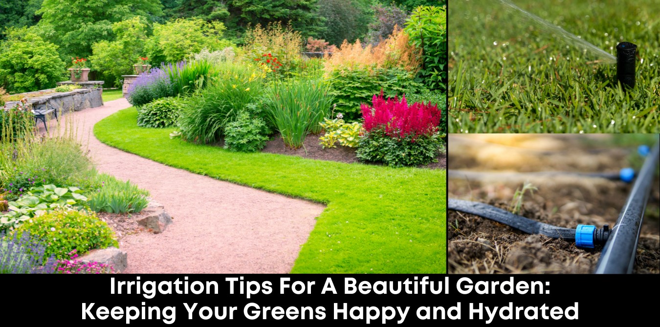 Irrigation Tips for a Beautiful Garden: Keeping Your Greens Happy and Hydrated