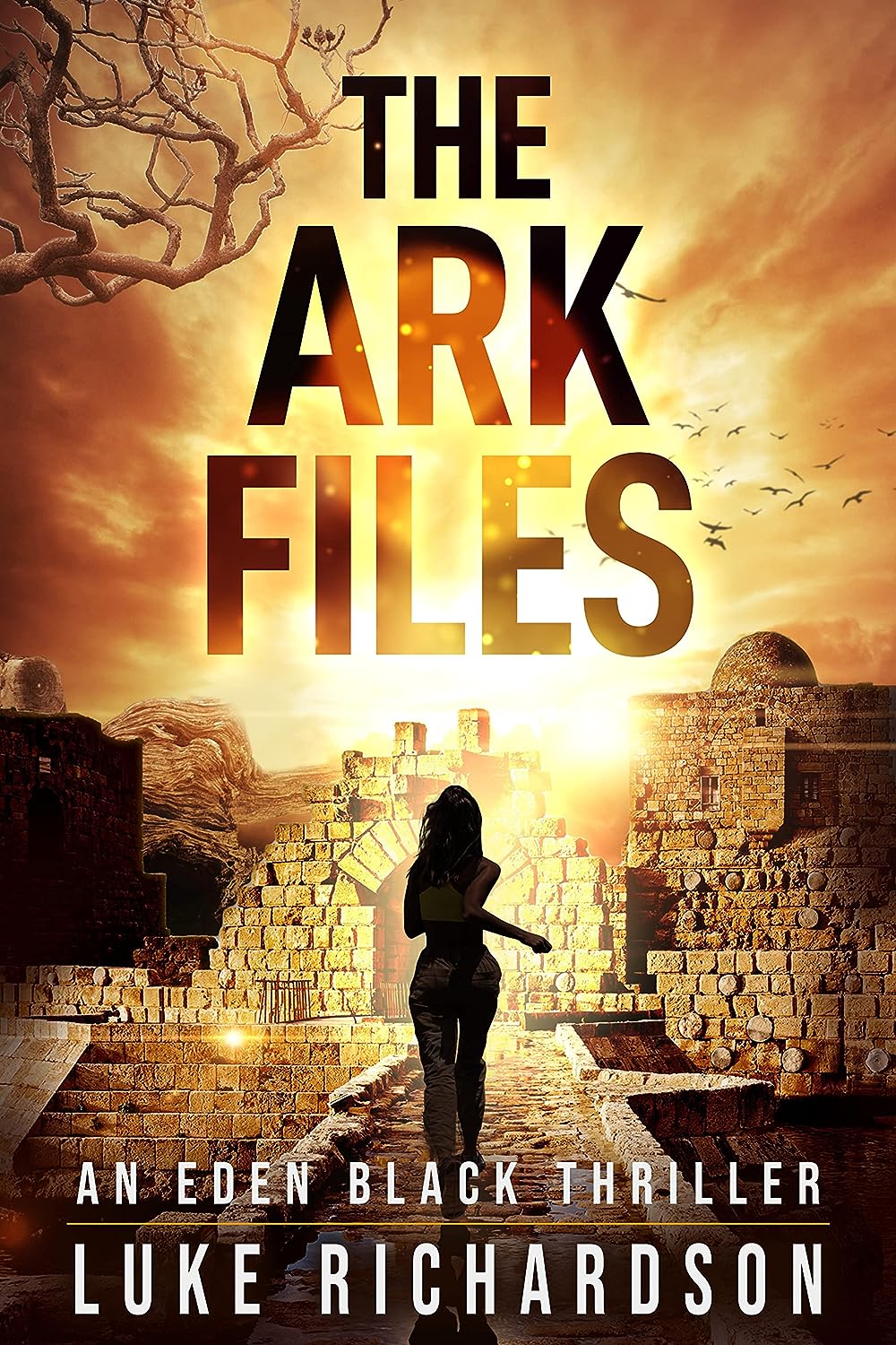 Synopsis of "The Ark Files