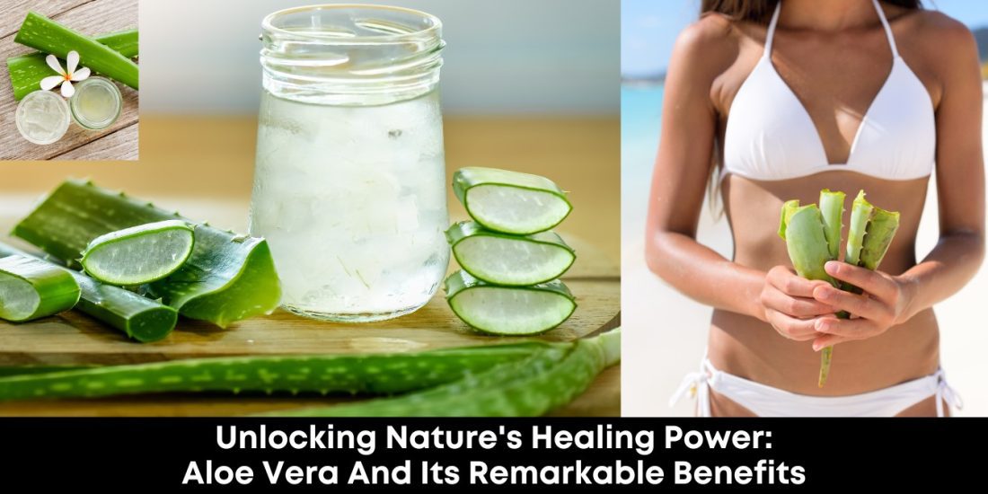 Unlocking Nature's Healing Power Aloe Vera and Its Remarkable Benefits