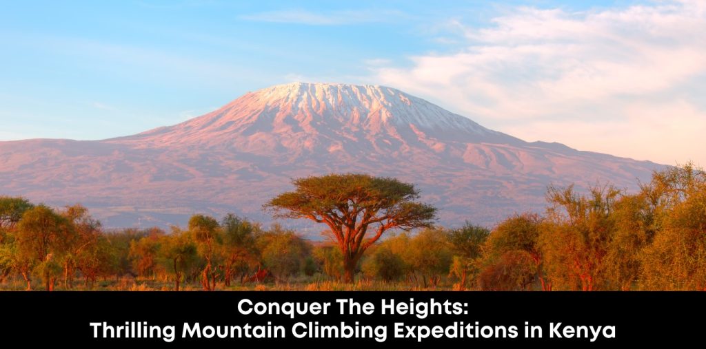 Conquer the Heights: Thrilling Mountain Climbing Expeditions in Kenya