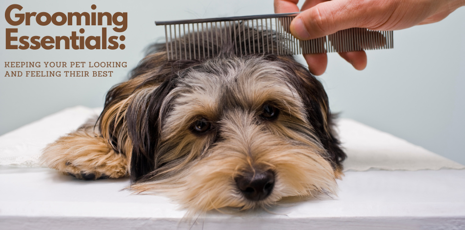 A Pet's Best Friend: The Essentials Of Grooming & Well-Being - H&S Pets Galore