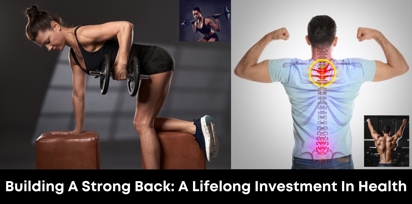 Building a Strong Back: A Lifelong Investment in Health