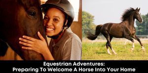 Equestrian Adventures: Preparing to Welcome a Horse into Your Home