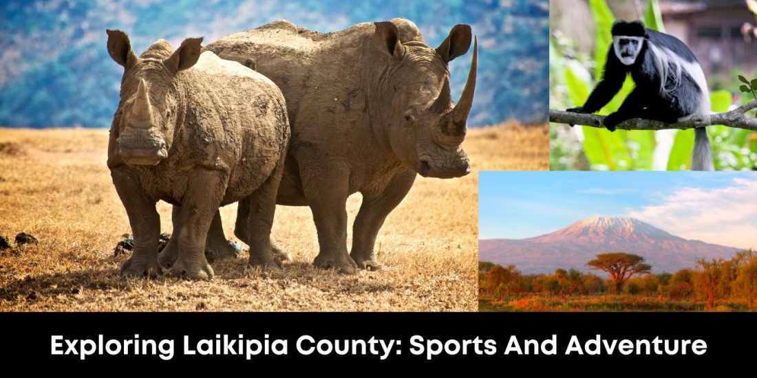 Exploring Laikipia County: Sports and Adventure