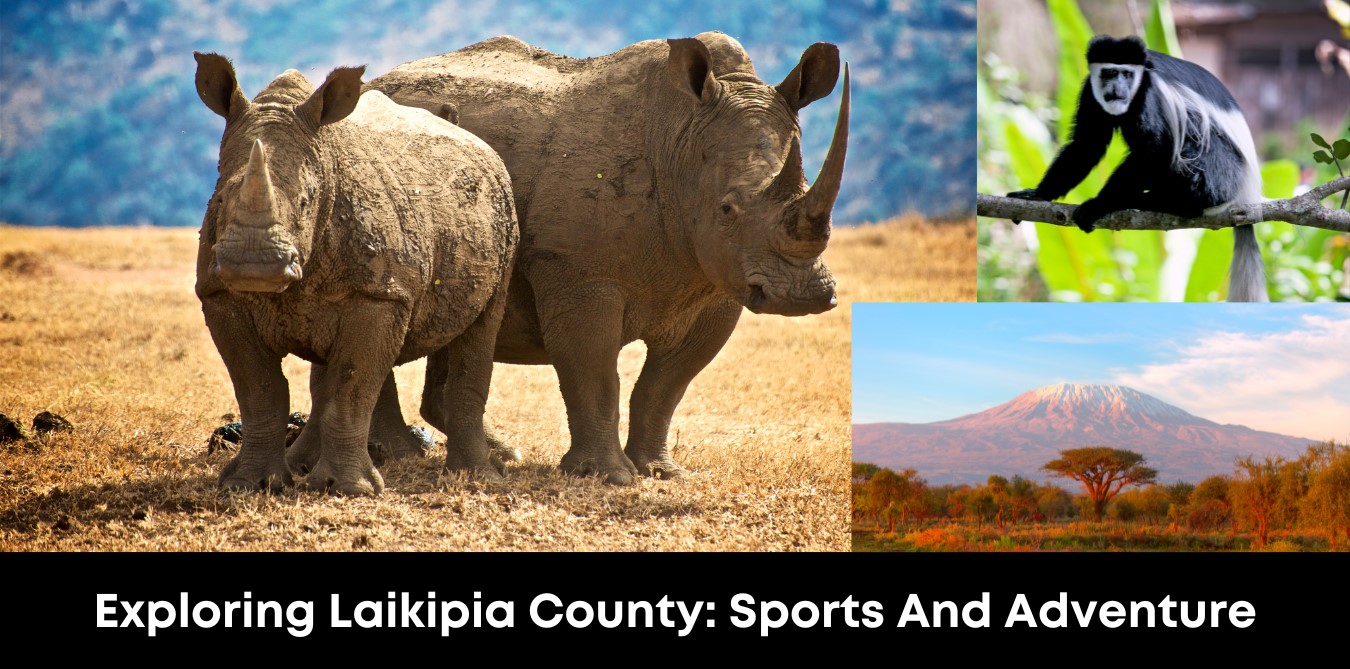 Exploring Laikipia County: Sports and Adventure