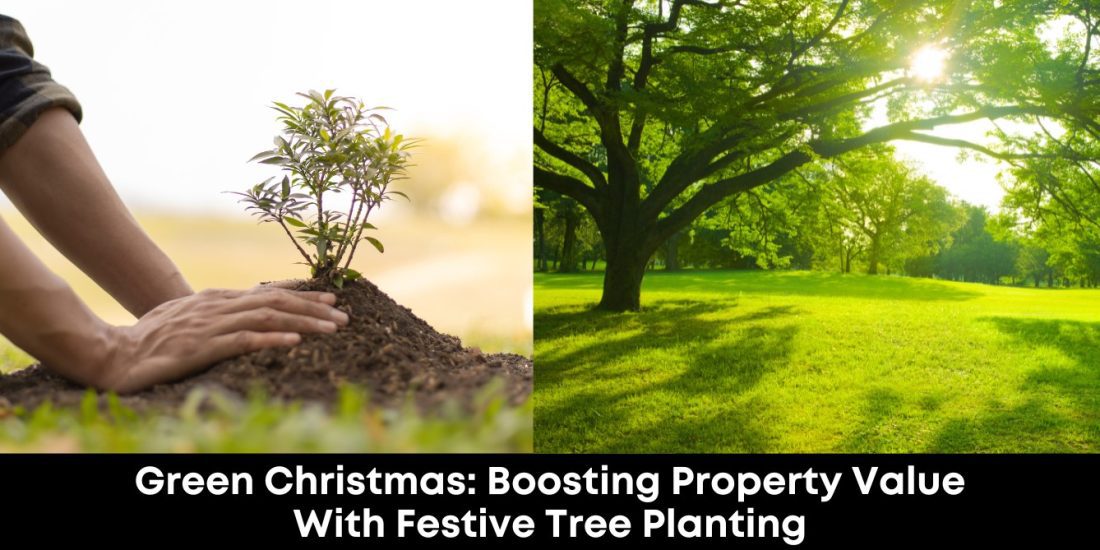 Green Christmas: Boosting Property Value with Festive Tree Planting
