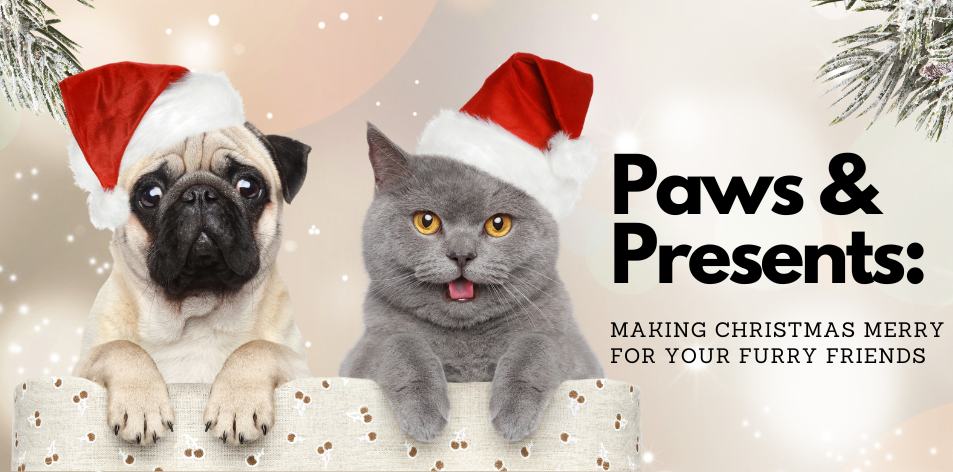 Paws And Presents: Making Christmas Merry For Your Furry Friends - H&S Pets Galore