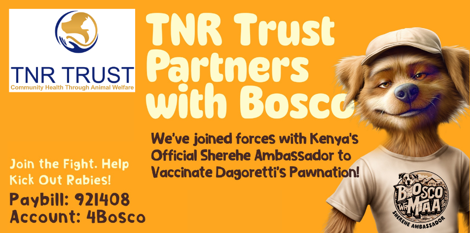 Protecting PawNation: A Collaborative Mission by TNR Trust and Sherehe Ambassador Bosco
