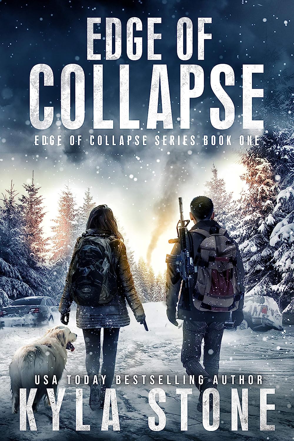 Edge of Collapse: A Post-Apocalyptic Survival Thriller Book 1 of 7