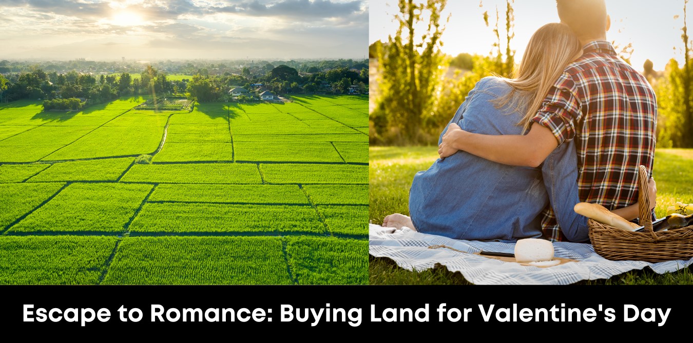 Escape to Romance: Buying Land for Valentine's Day
