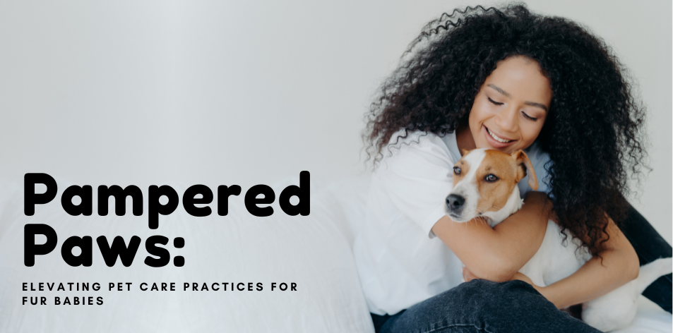 Pampered Paws: Elevating Pet Care Practices For Fur Babies - H&S Pets Galore