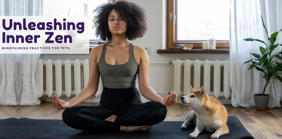 Unleashing Inner Zen: Mindfulness Practices For Pets - H&S Pets Galore