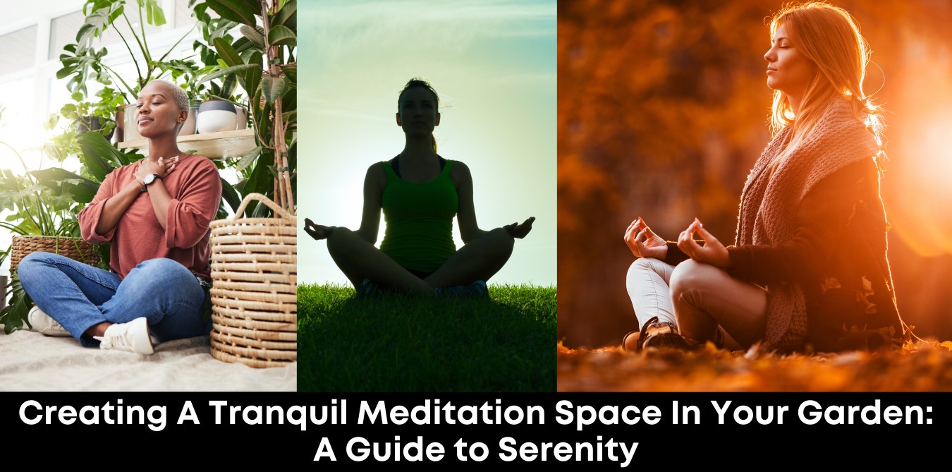 Creating a Tranquil Meditation Space in Your Garden: A Guide to Serenity