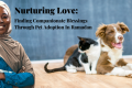 Nurturing Love: Finding Companionate Blessings Through Pet Adoption In Ramadan - H&S Pets Galore