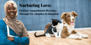 Nurturing Love: Finding Companionate Blessings Through Pet Adoption In Ramadan - H&S Pets Galore