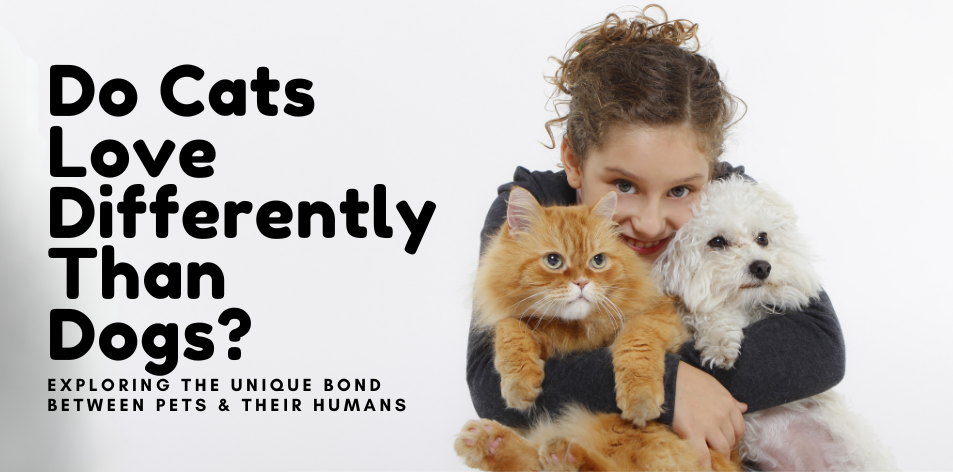 Do Cats Love Differently Than Dogs? Exploring The Unique Bond Between Pets & Their Humans - H&S Pets Galore