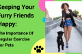 Keeping Your Furry Friends Happy: The Importance Of Regular Exercise For Pets - H&S Pets Galore