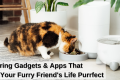 Paws And Pixels: Pet Tech Innovations For Enhanced Well-Being - H&S Pets Galore