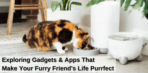 Paws And Pixels: Pet Tech Innovations For Enhanced Well-Being - H&S Pets Galore