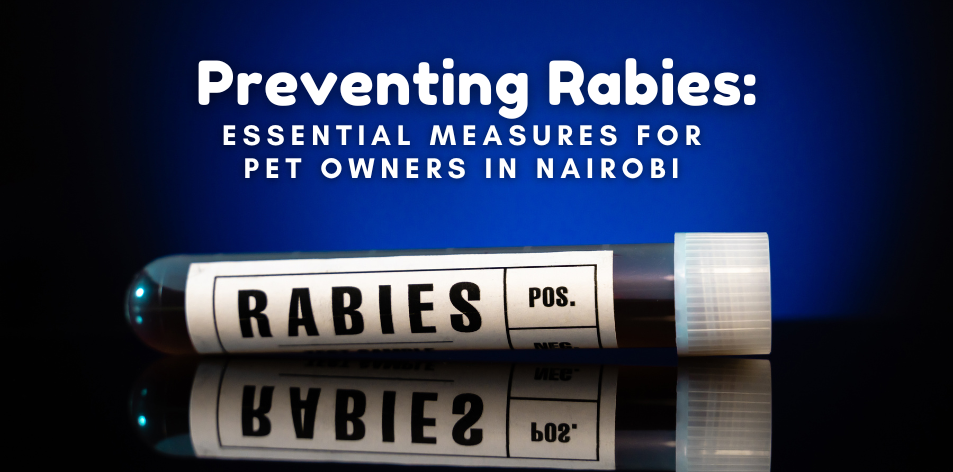Preventing Rabies: Essential Measures For Pet Owners In Nairobi - H&S Pets Galore