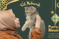 Purrs & Blessings: Celebrating Eid al-Fitr With Your Feline Friend - H&S Pets Galore