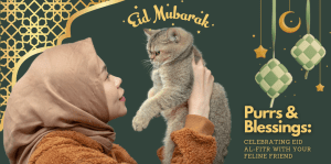 Purrs & Blessings: Celebrating Eid al-Fitr With Your Feline Friend - H&S Pets Galore