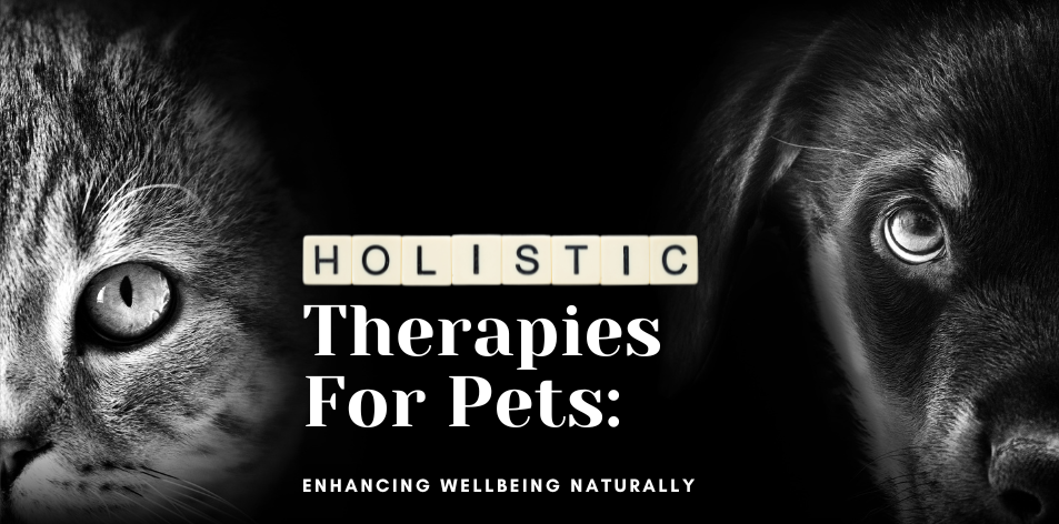 Holistic Therapies For Pets: Enhancing Wellbeing Naturally - H&S Pets Galore