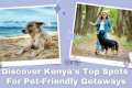 Pet-Friendly Travel Destinations: Where To Take Your Furry Friend On Your Next Adventure - H&S Pets Galore