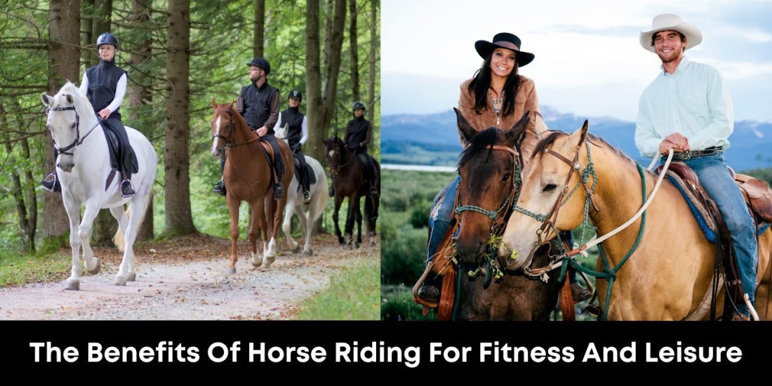 The Benefits of Horse Riding for Fitness and Leisure