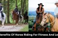 The Benefits of Horse Riding for Fitness and Leisure