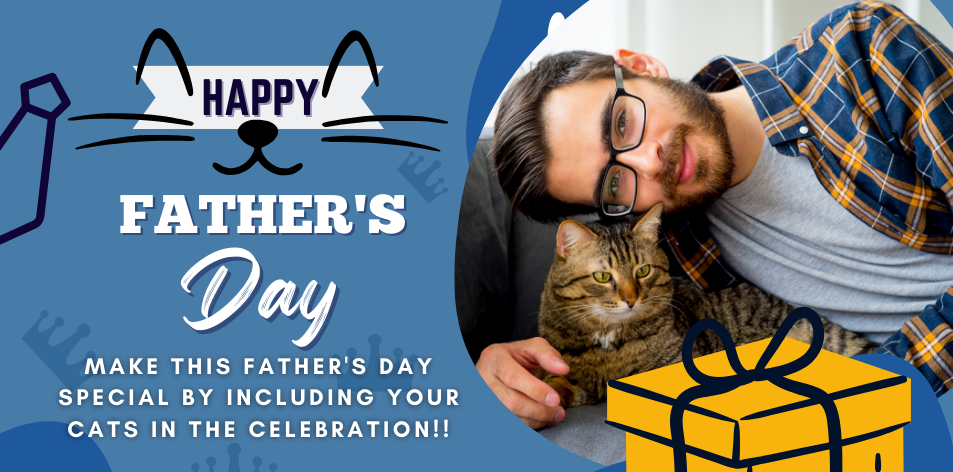 Celebrating Father’s Day With Your Feline Friends: Fun Activities And Tips - H&S Pets Galore