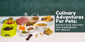 Culinary Adventures For Pets: Nutritious Recipes For Homemade Pet Meals - H&S Pets Galore