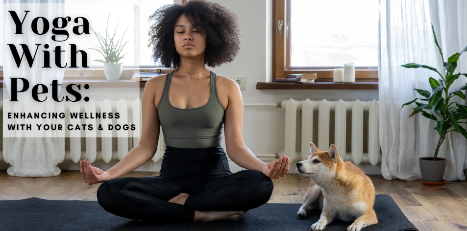 Yoga With Pets: Enhancing Wellness With Your Cats & Dogs - H&S Pets Galore