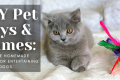DIY Pet Toys & Games: Creative Homemade Ideas For Entertaining Cats & Dogs - H&S Pets Galore