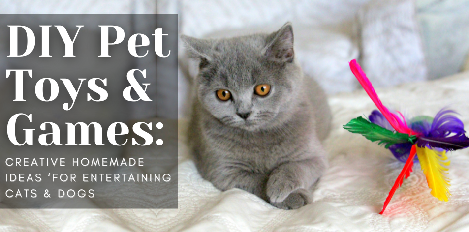DIY Pet Toys & Games: Creative Homemade Ideas For Entertaining Cats & Dogs - H&S Pets Galore