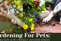 Gardening For Pets: Creating Safe & Pet-Friendly Outdoor Spaces - H&S Pets Galore