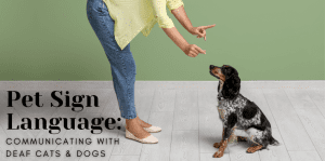 Pet Sign Language: Communicating With Deaf Cats & Dogs - H&S Pets Galore