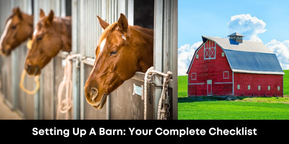 Setting Up a Barn: Your Complete Checklist