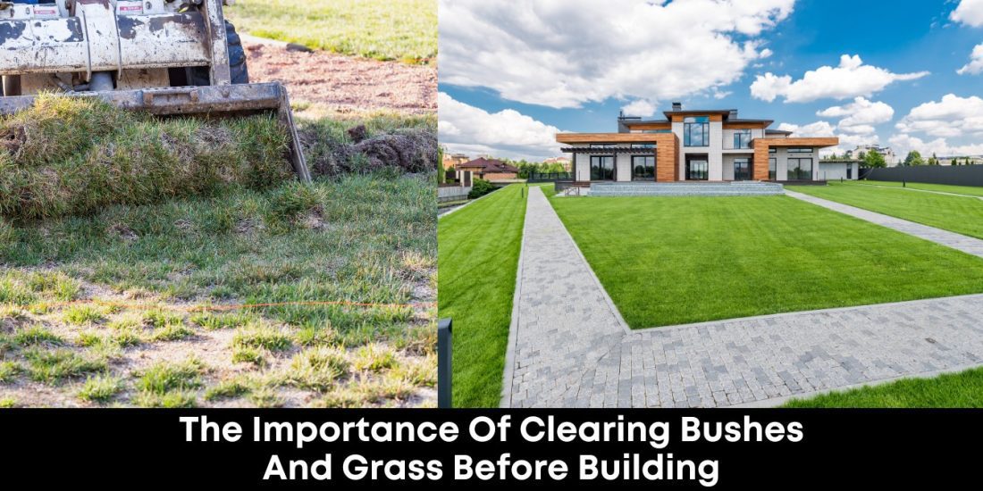 The Importance Of Clearing Bushes And Grass Before Building