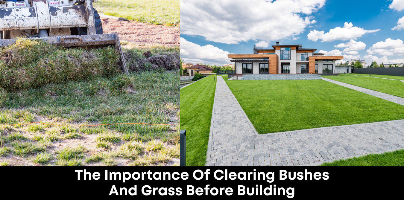 The Importance Of Clearing Bushes And Grass Before Building