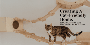 Creating A Cat-Friendly Home: Simple Changes To Make Your Space A Feline Paradise - H&S Pets Galore