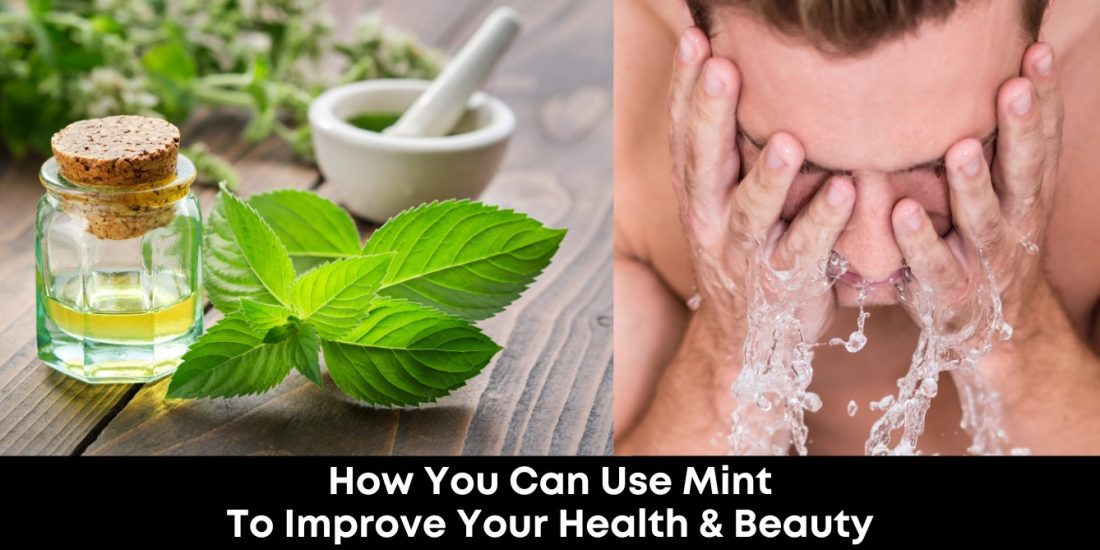 How You Can Use Mint to Improve Your Health & Beauty