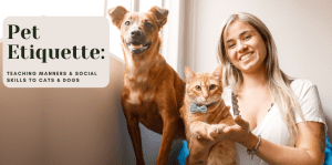 Pet Etiquette: Teaching Manners & Social Skills To Cats & Dogs - H&S Pets Galore