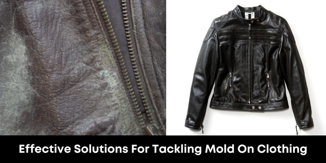 Effective Solutions For Tackling Mold On Clothing